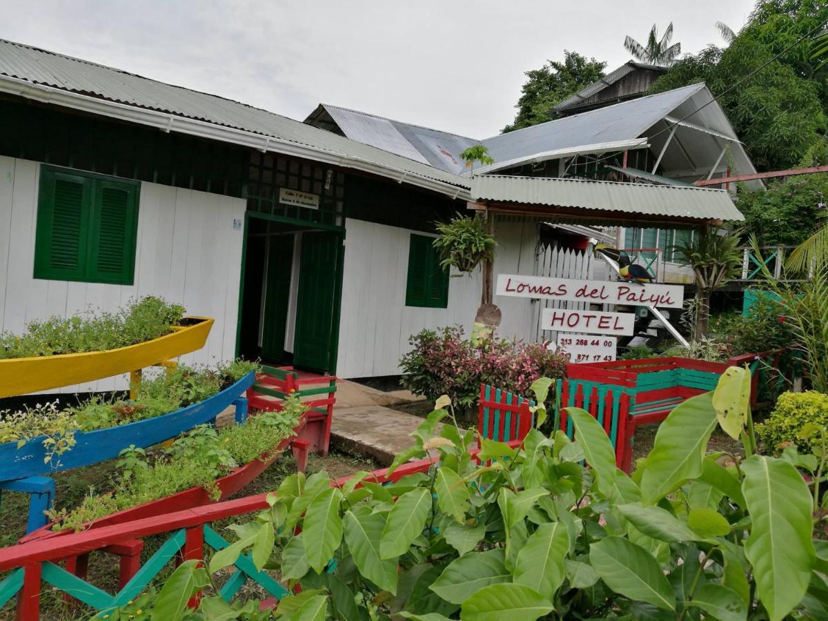 Hotel Lomas Del Paiyue Puerto Narino Luaran gambar